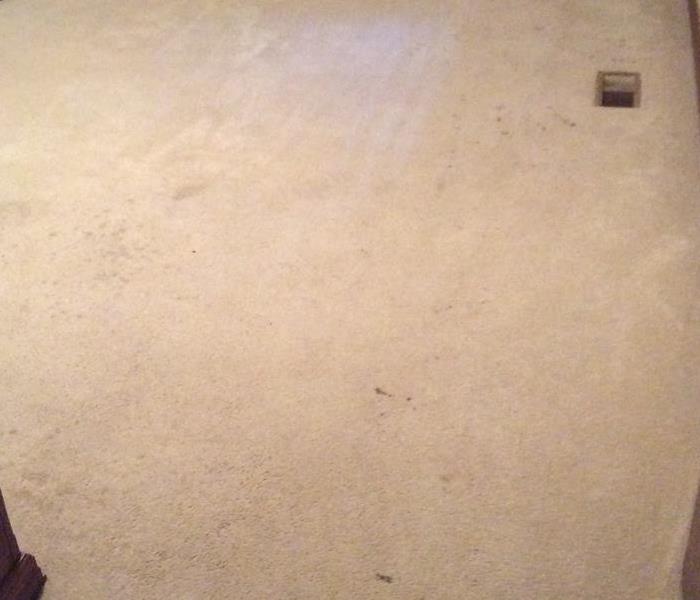 Carpet prior to being cleaned with traffic area staining